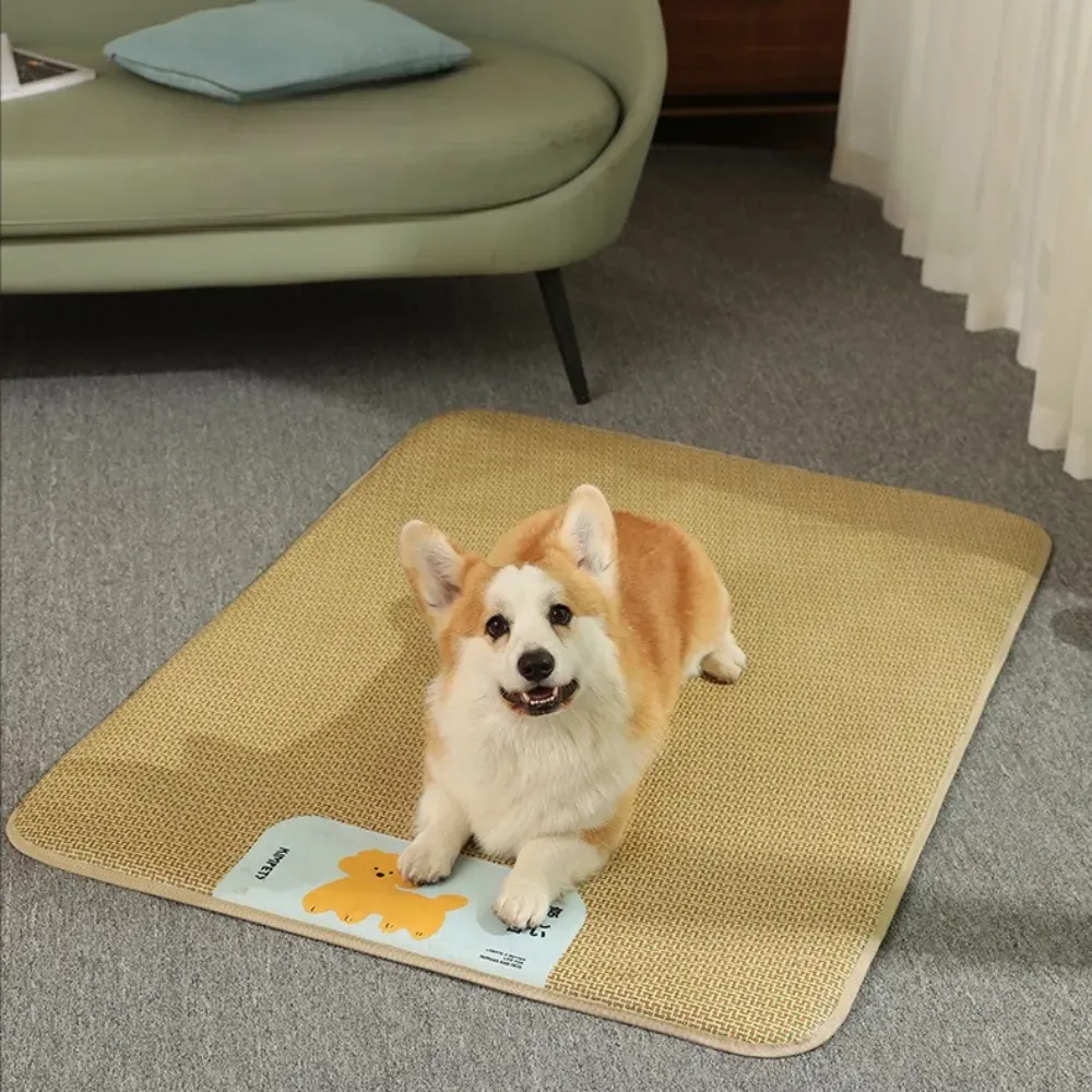 natural rattan pet mat