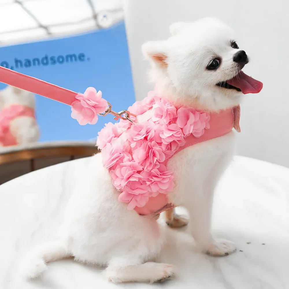 dog harness with leash pet harness for daily walks