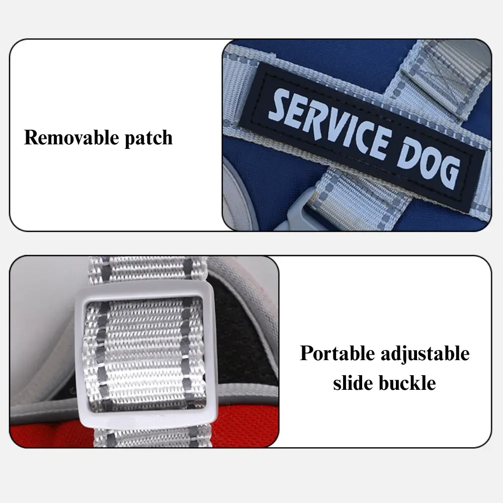 padded dog walking gear