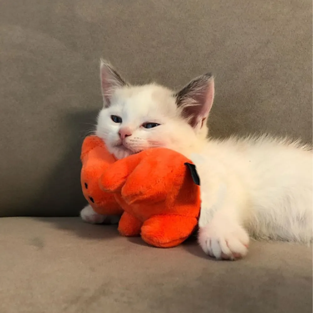 1PC Adorable Gummy Bear Squeaky Plush Pet Toy