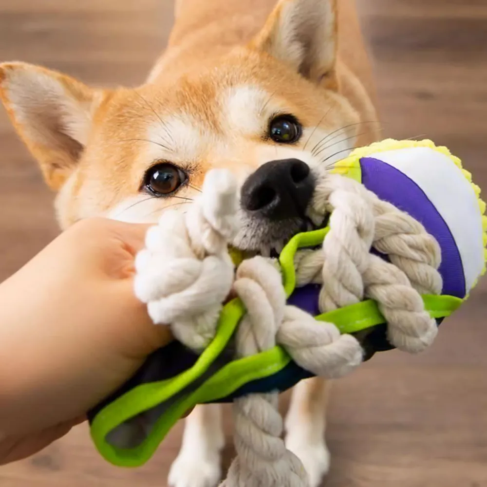 Sneakers Canvas Shoes Shape Dog Chew Toys