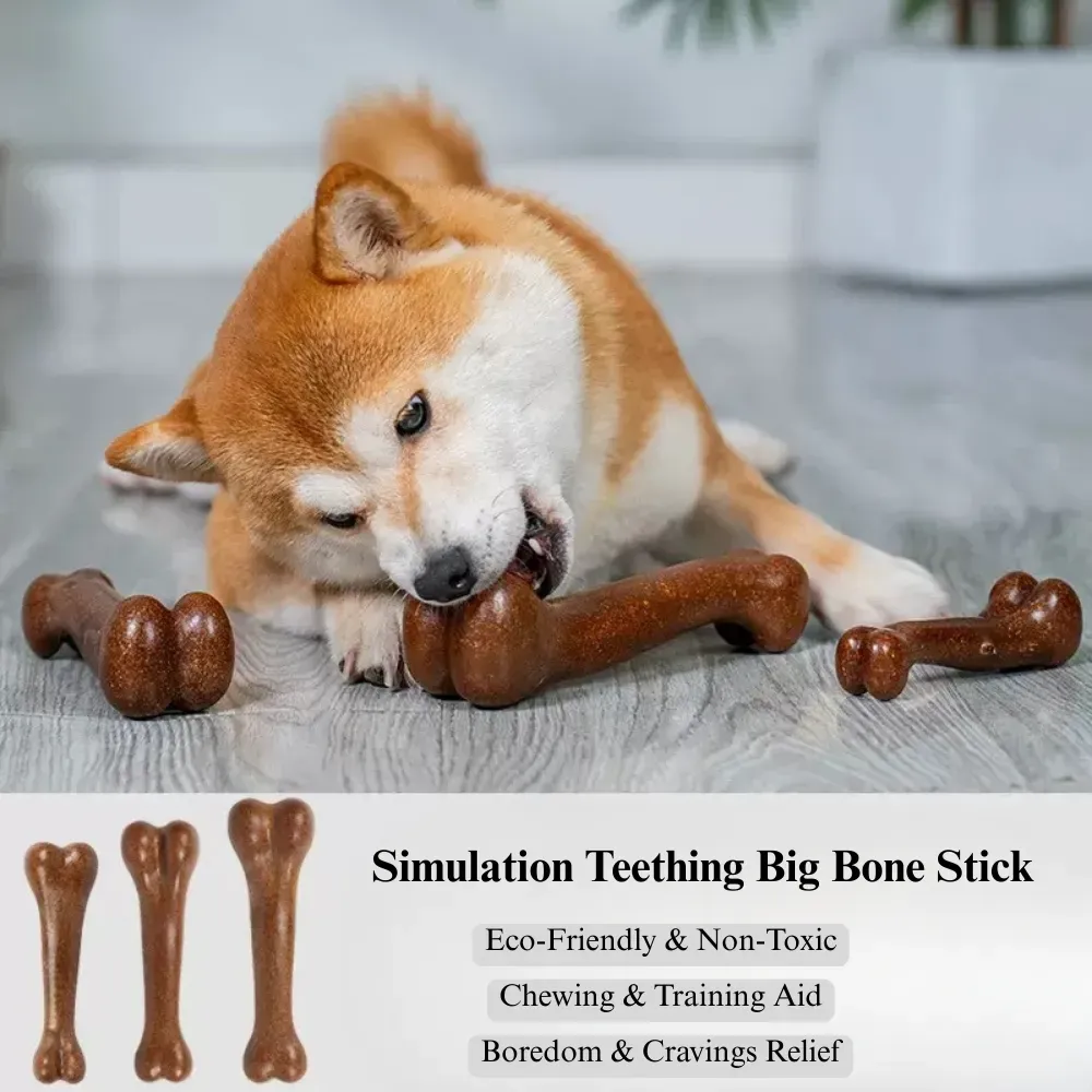 dog plaque removal toy