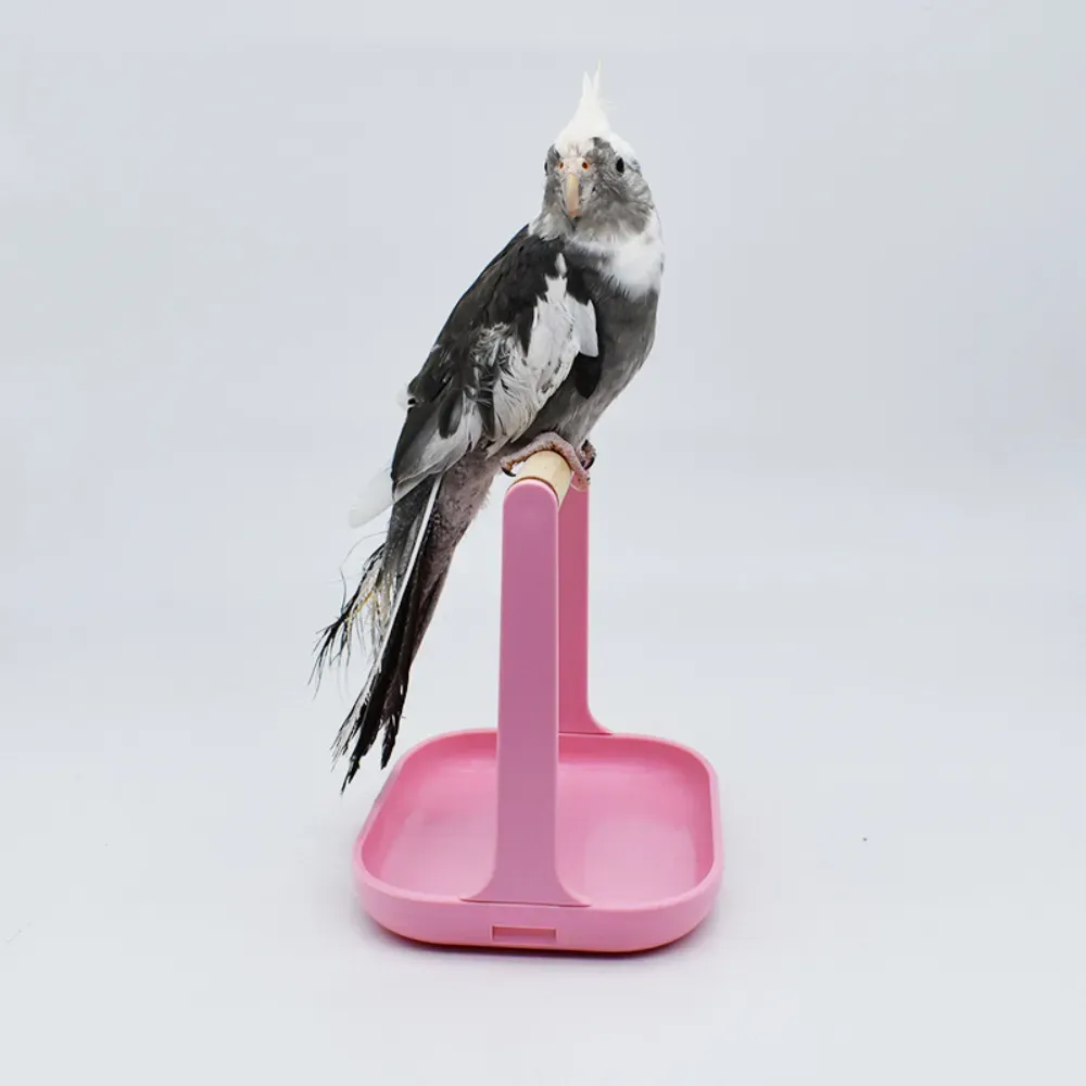 bird cage accessory pet bird climbing stand