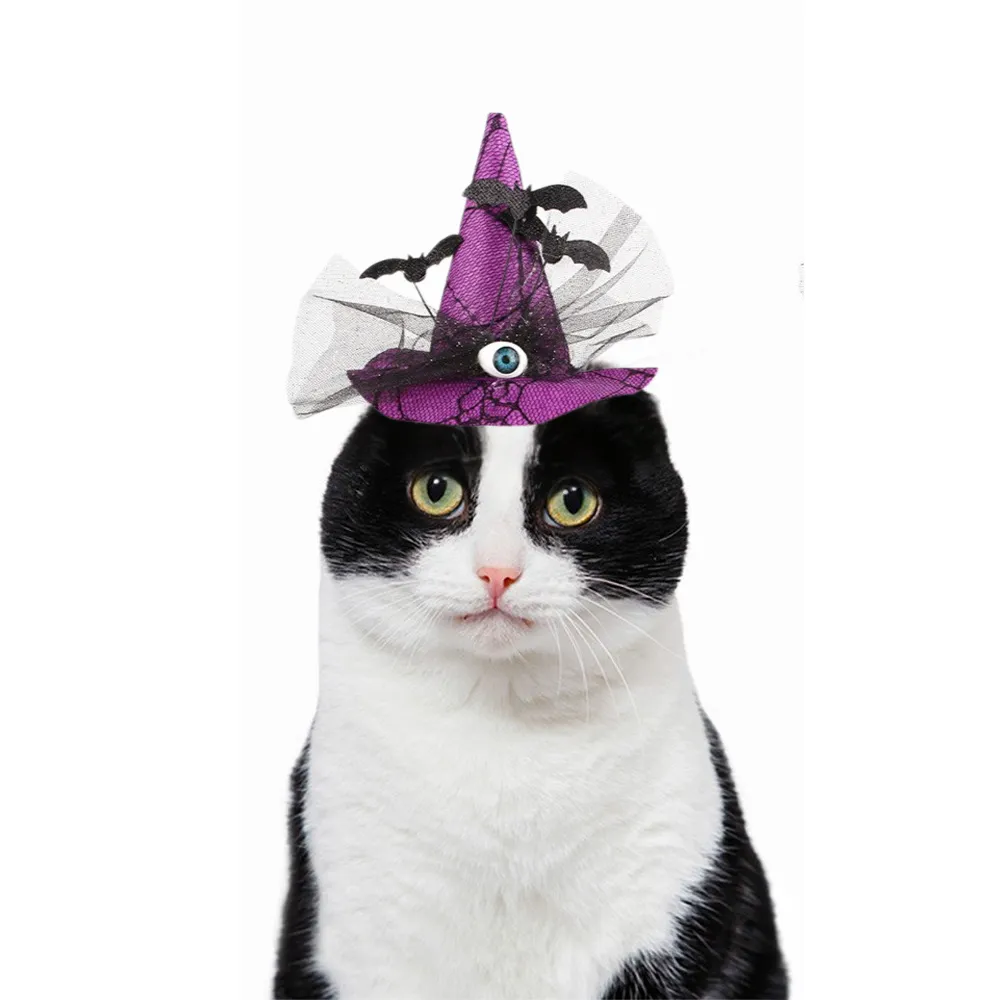 Purple Halloween Pet Hat