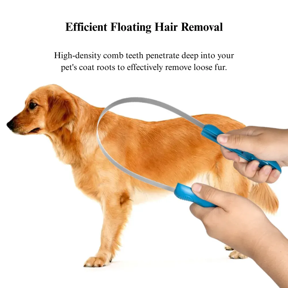 horse care brush