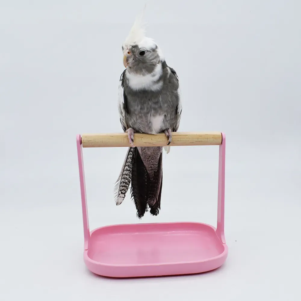 natural wood bird perch finch training platform