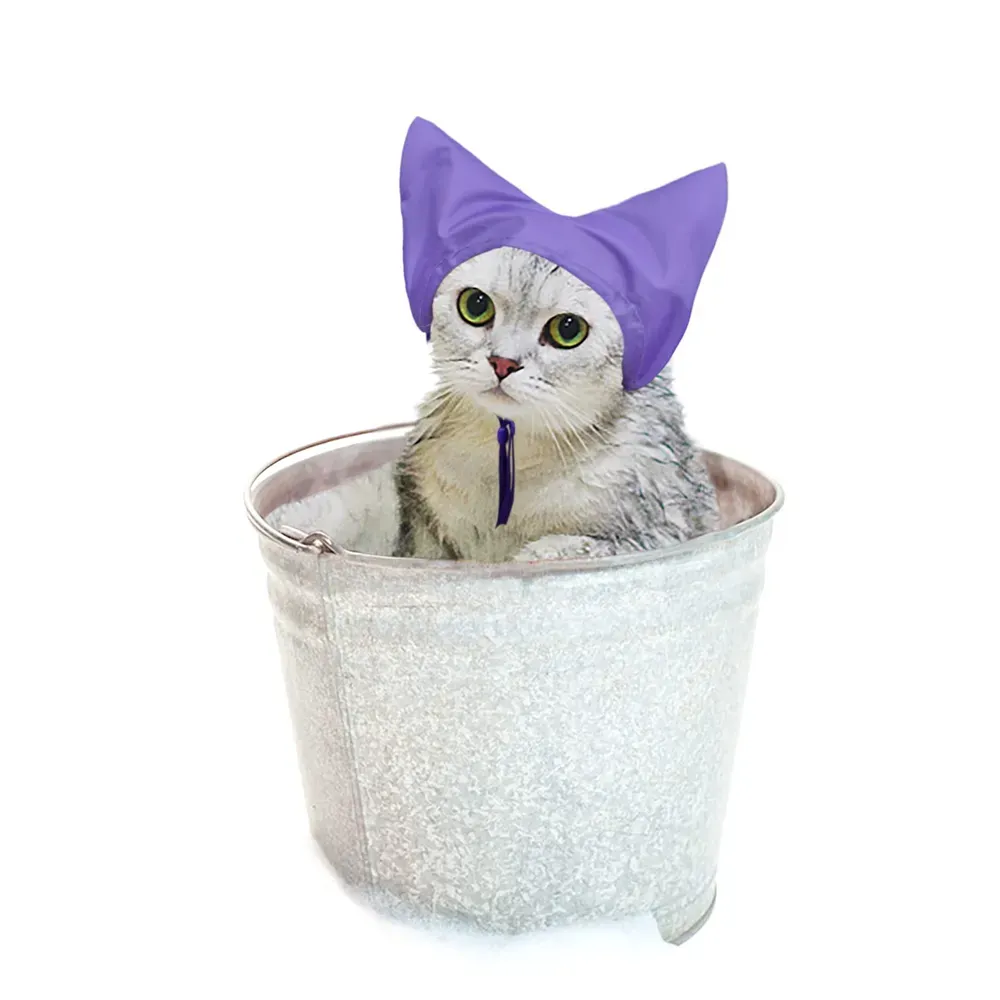 Cat Caps