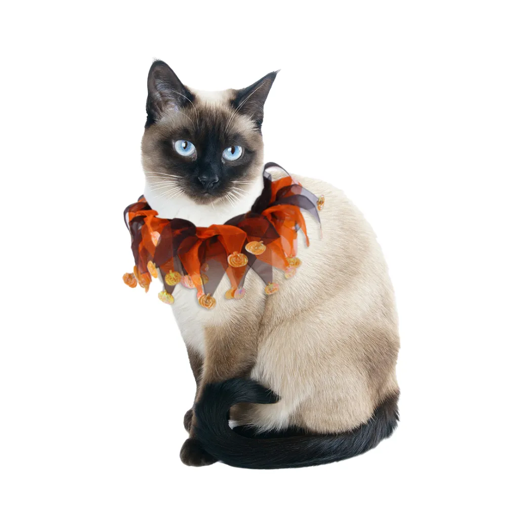 Christmas Halloween Dog Collar