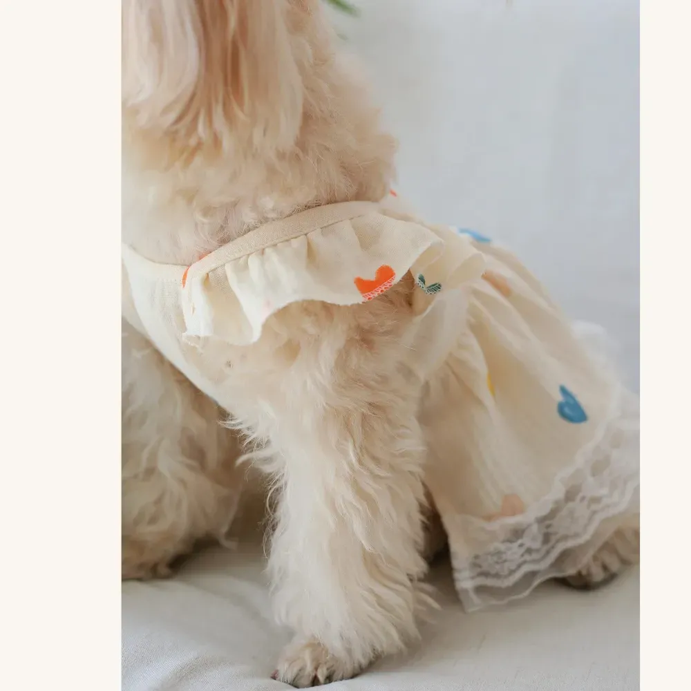 Perfect for Stores & Boutiques: Eye-catching seasonal item for pet clothing lines, with strong visual appeal and gift potential.