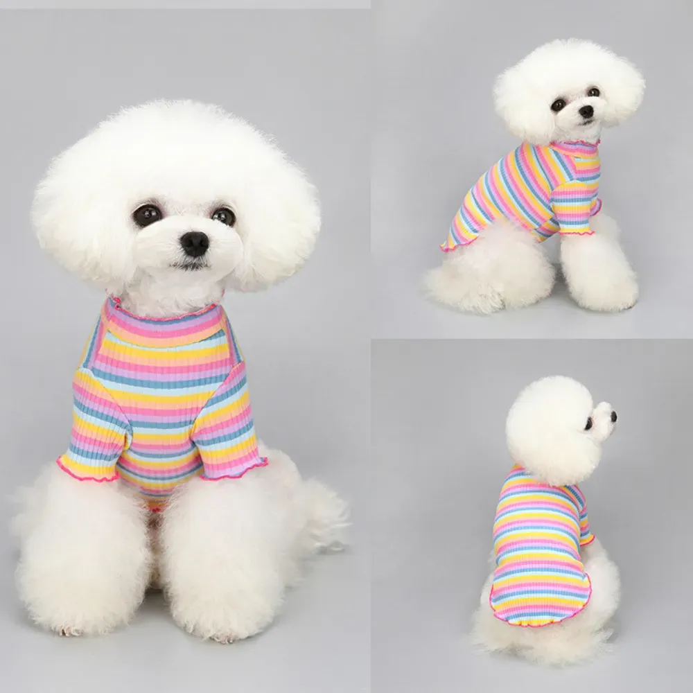 "Soft, breathable fabric ensures comfort for small to medium dogs, making this shirt perfect for everyday wear."