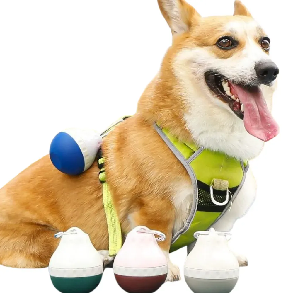 Great Dog Water Bottle Hot Great Dog Water Bottle Hot