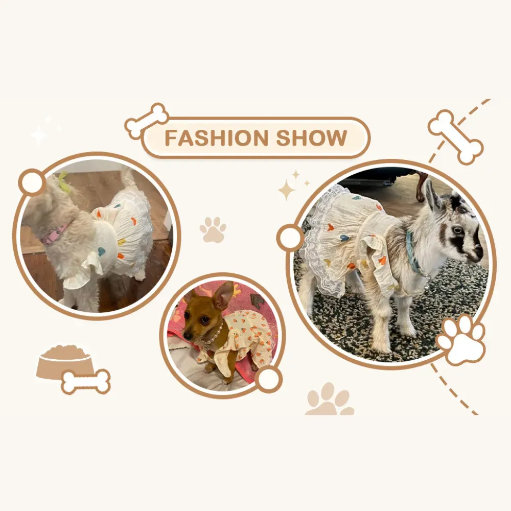 Perfect for Stores & Boutiques: Eye-catching seasonal item for pet clothing lines, with strong visual appeal and gift potential.