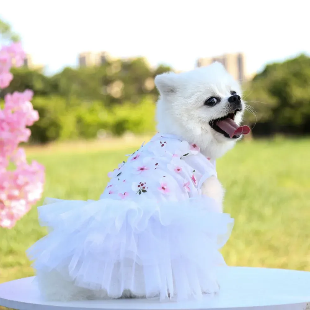 dog clothes dresses (3) Individually packaged for display or online sales, perfect for upscale pet boutiques or costume collections.
