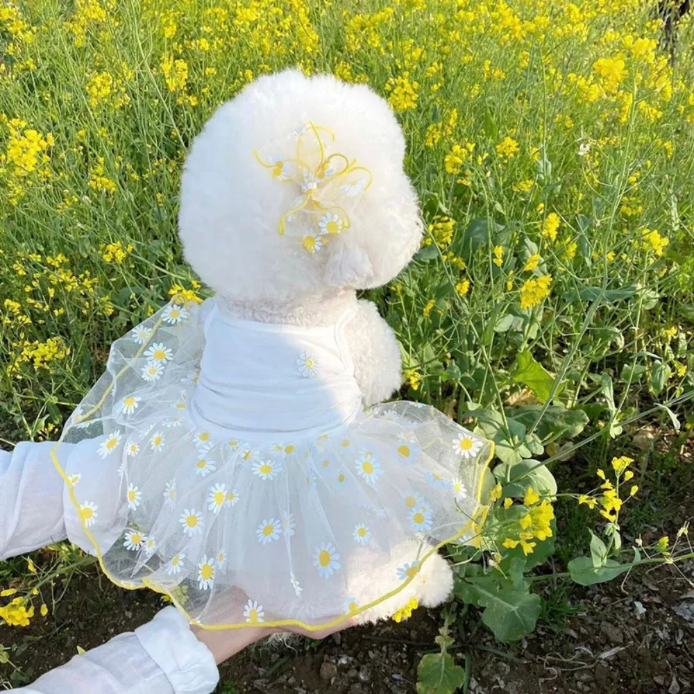 Suitable for breeds such as Pomeranian, Bichon, Teddy, Yorkshire Terrier, Schnauzer, and also for cats.