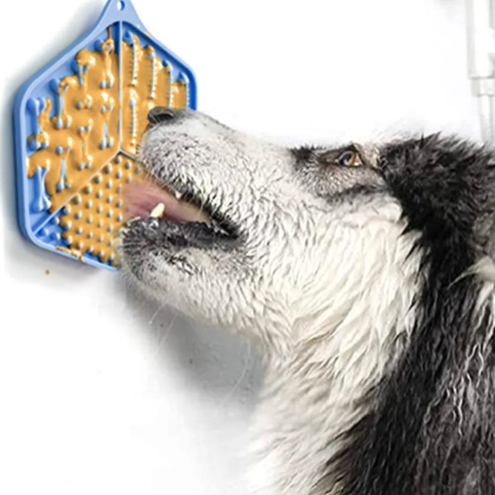 Silicone Pet Slow-feeding Plate odm
