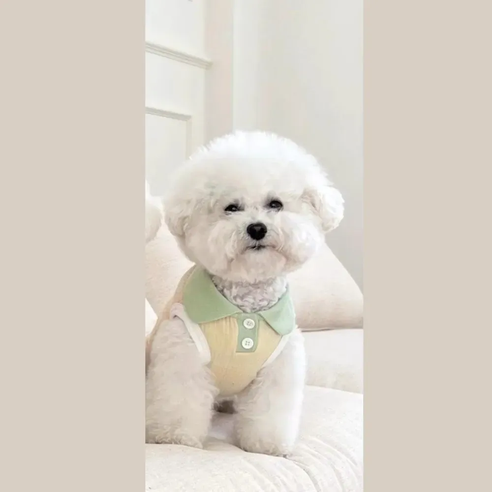 Contrast color collar adds a stylish finishing touch, perfect for boutiques looking for playful yet fashionable pet apparel.