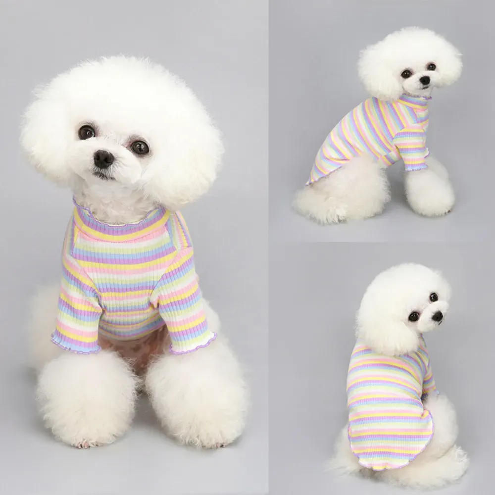 "Colorful striped design perfect for retail displays, boutiques, and fashion-forward pet clothing lines."