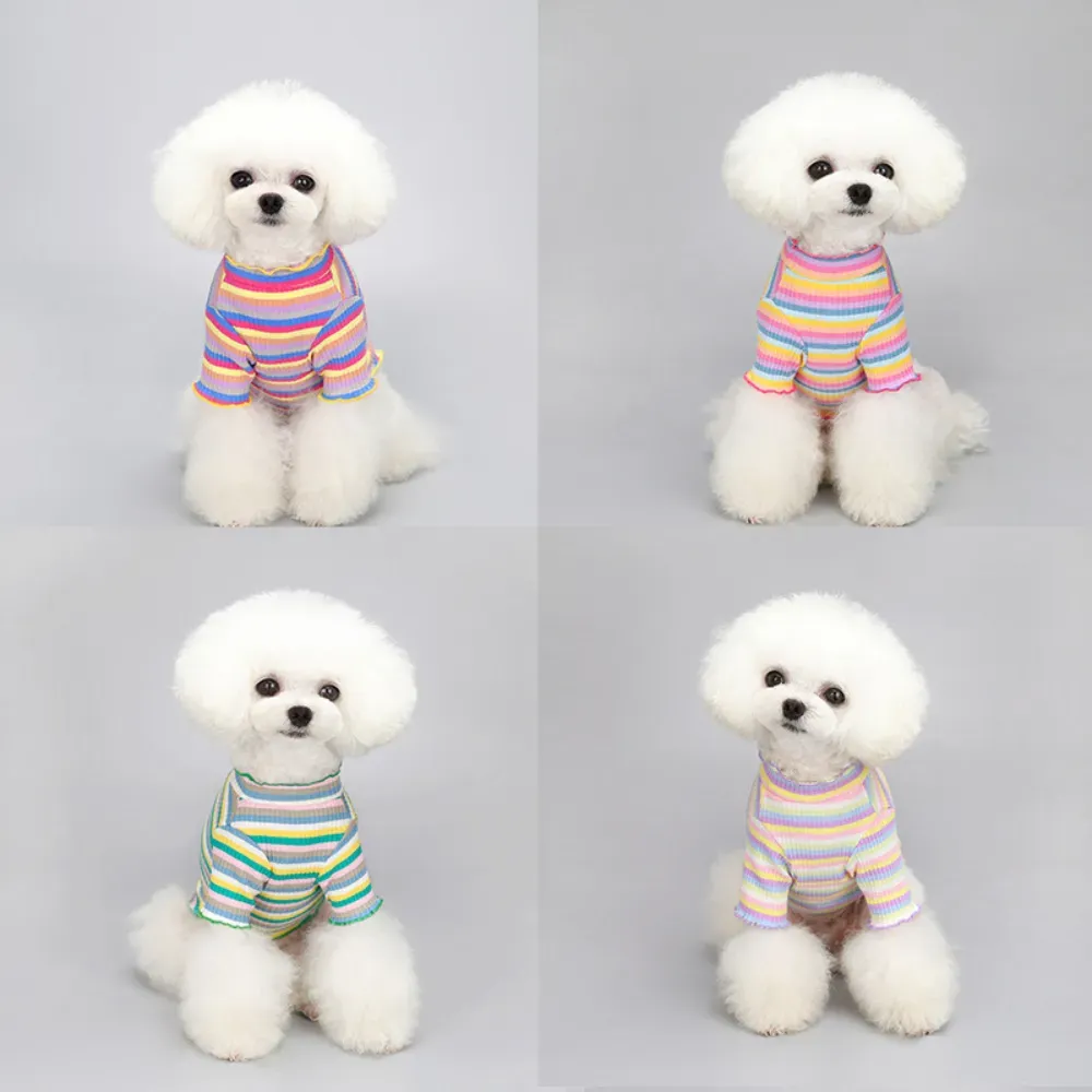 "Soft, breathable fabric ensures comfort for small to medium dogs, making this shirt perfect for everyday wear."