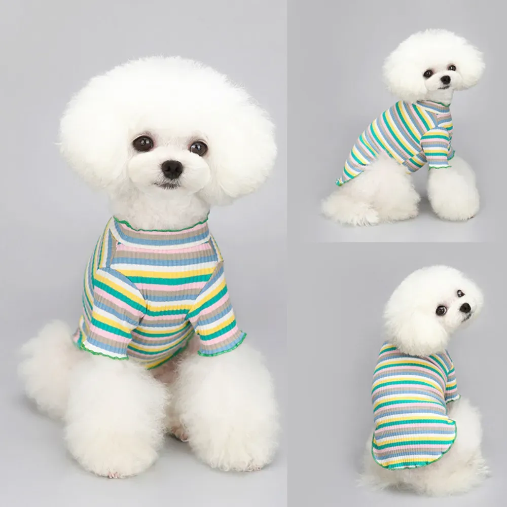 "Pet shirt designed for small and medium-sized breeds, perfect for gifting, retail sales, or grooming salons."