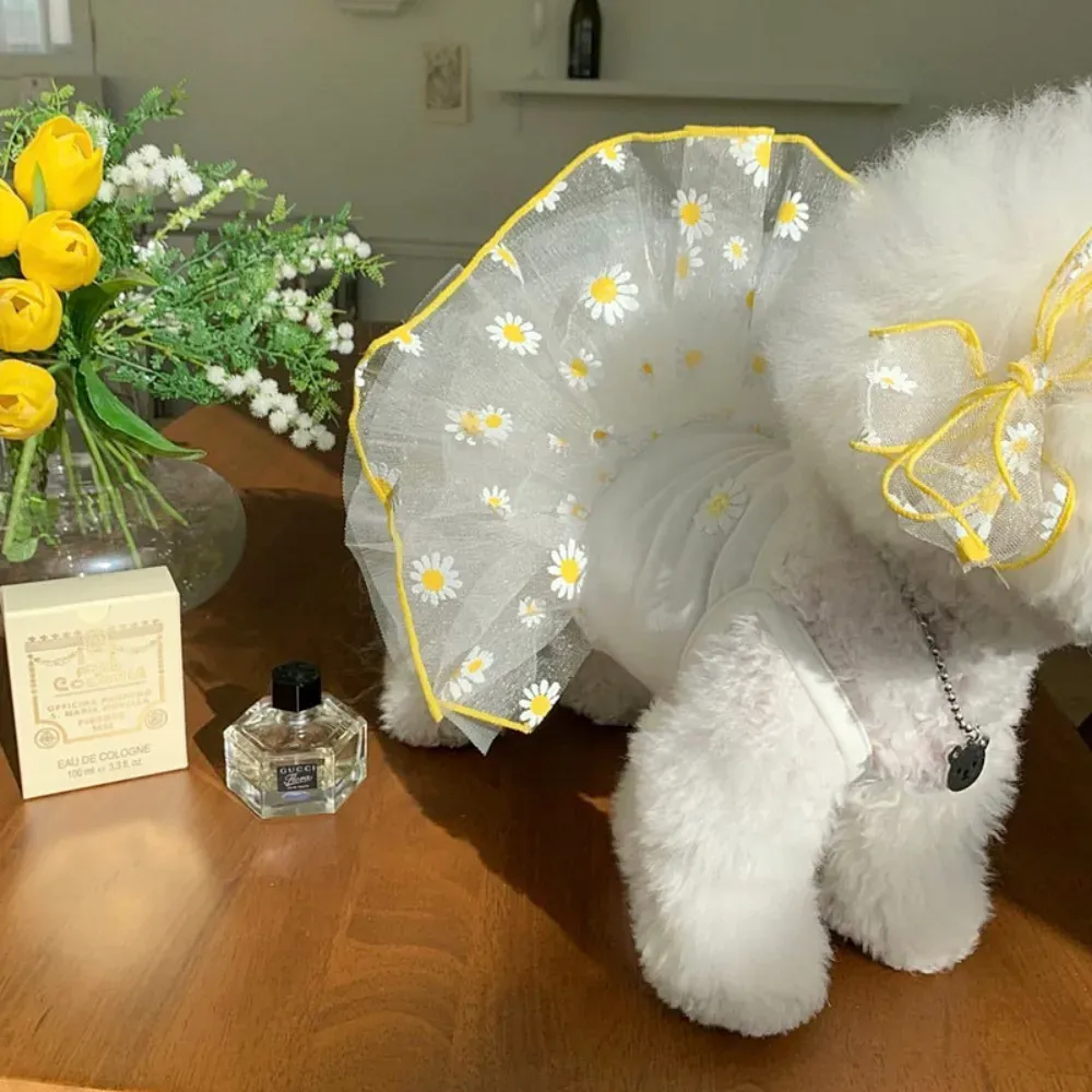 Ideal for photo shoots, daily wear, grooming sessions, and boutique displays.