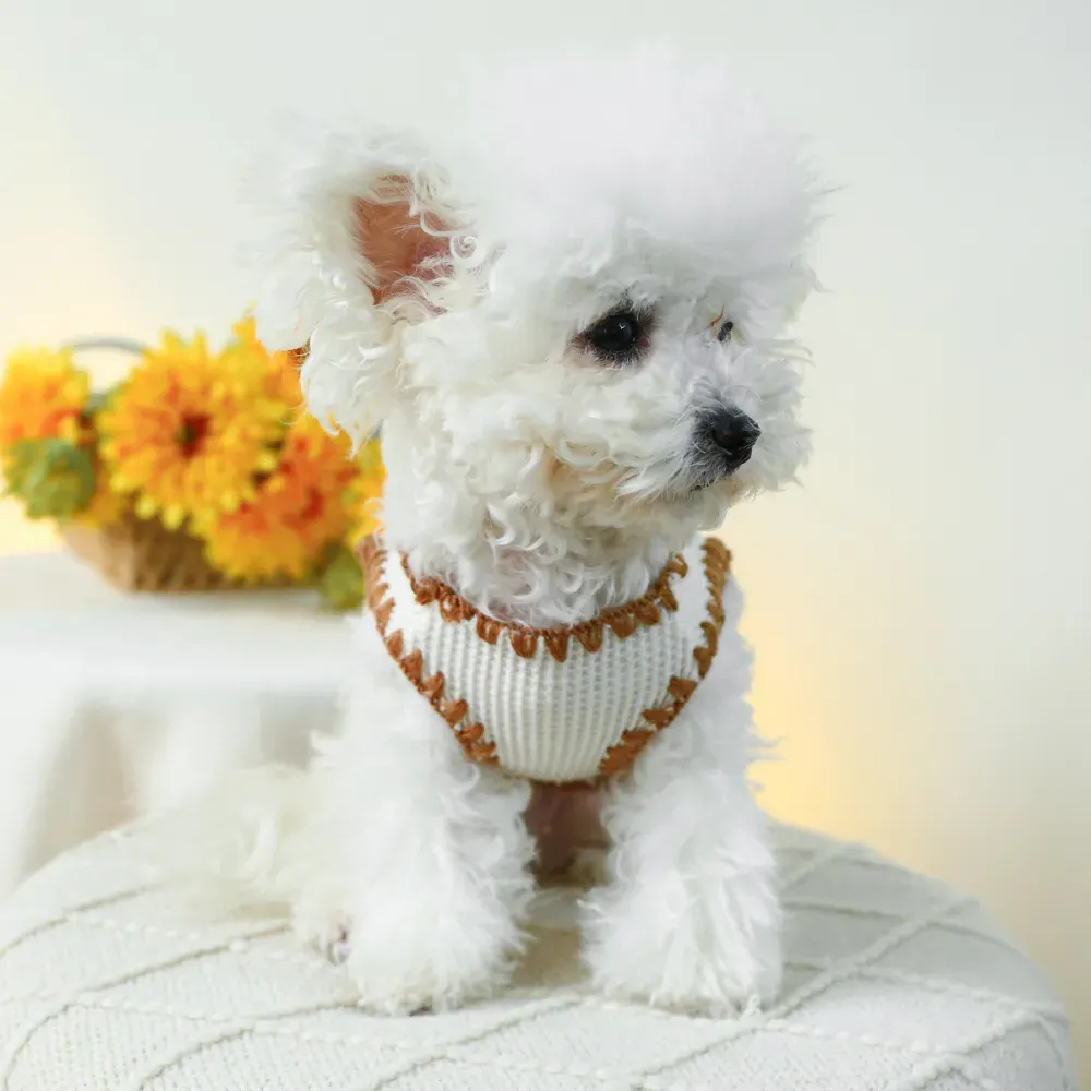 dog vest (4) "Must-have wholesale pet clothing option with a charming graphic style."