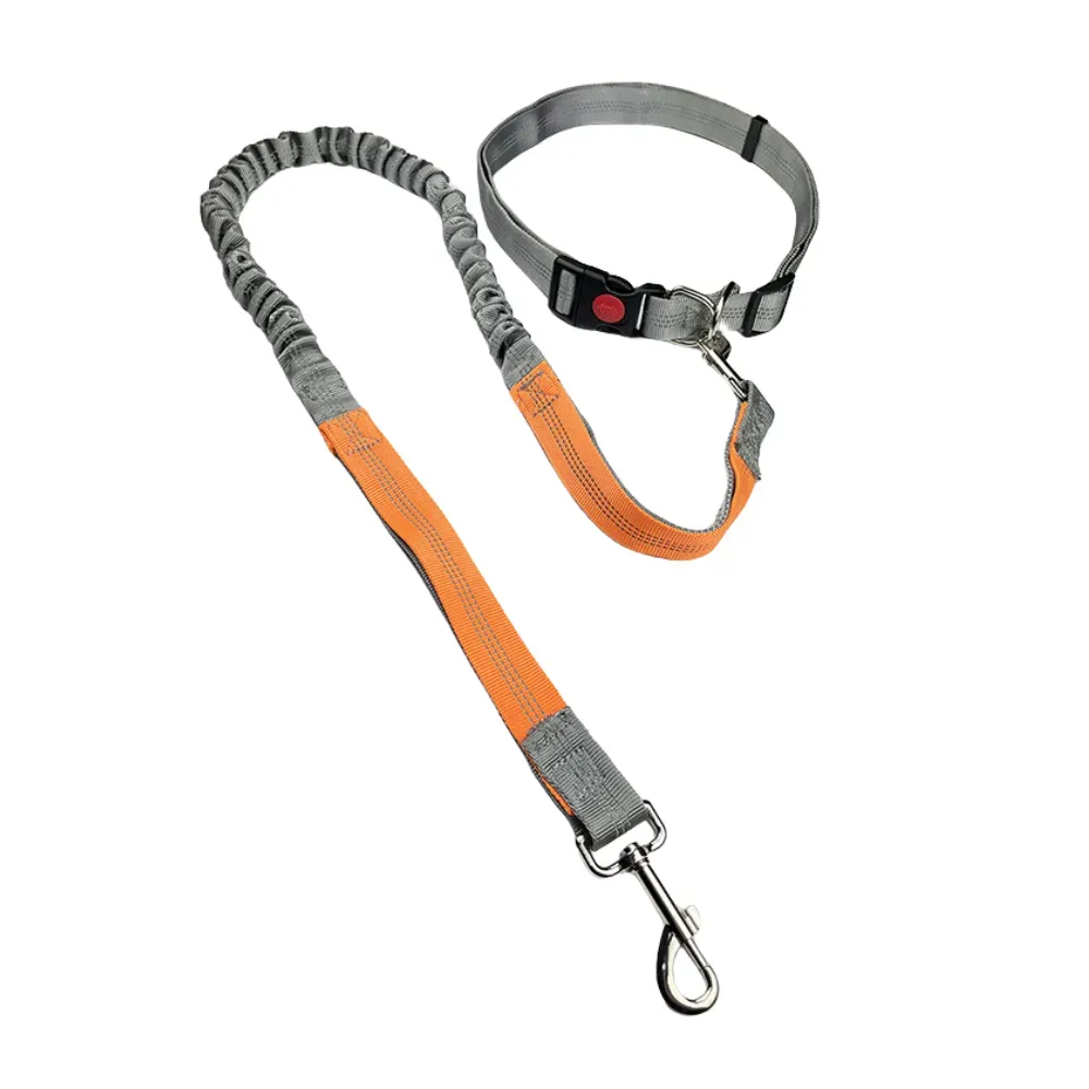 Hands Free Adjustable Dog Leash Belt for Outdoor Use