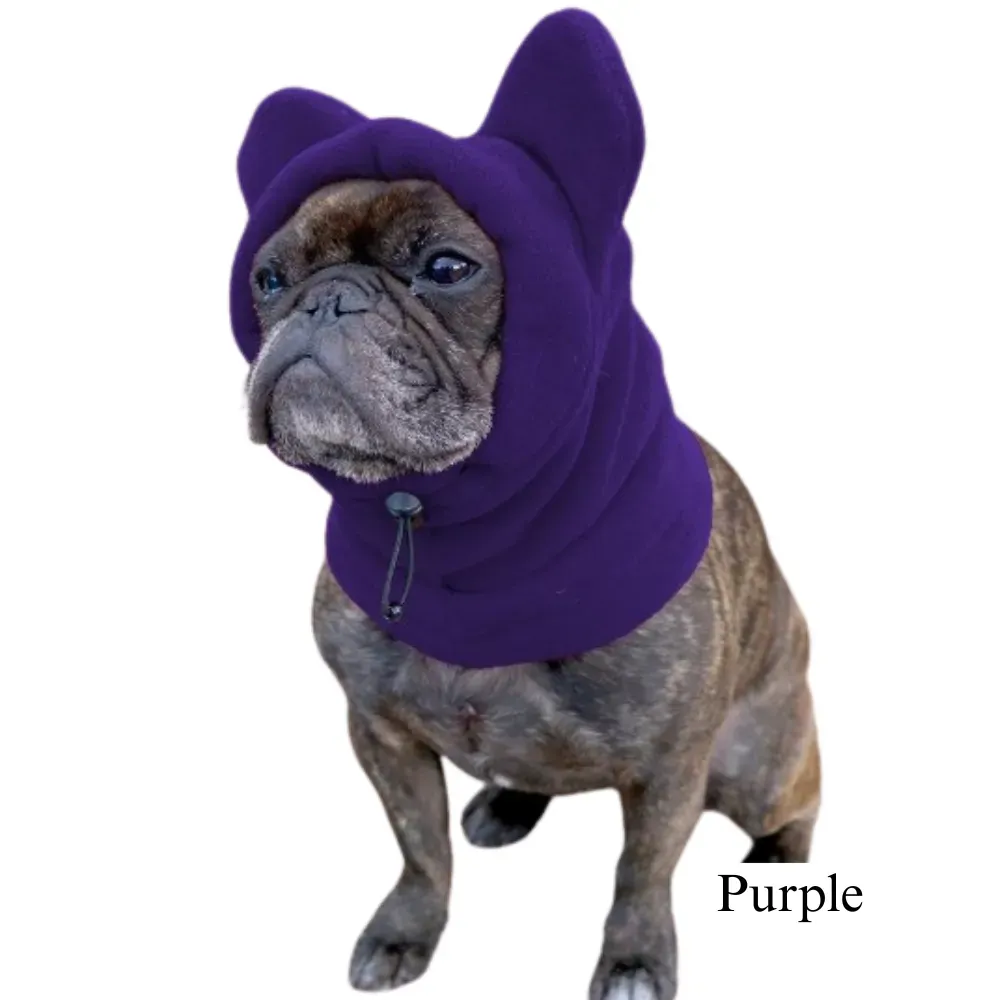 New Pet Hat