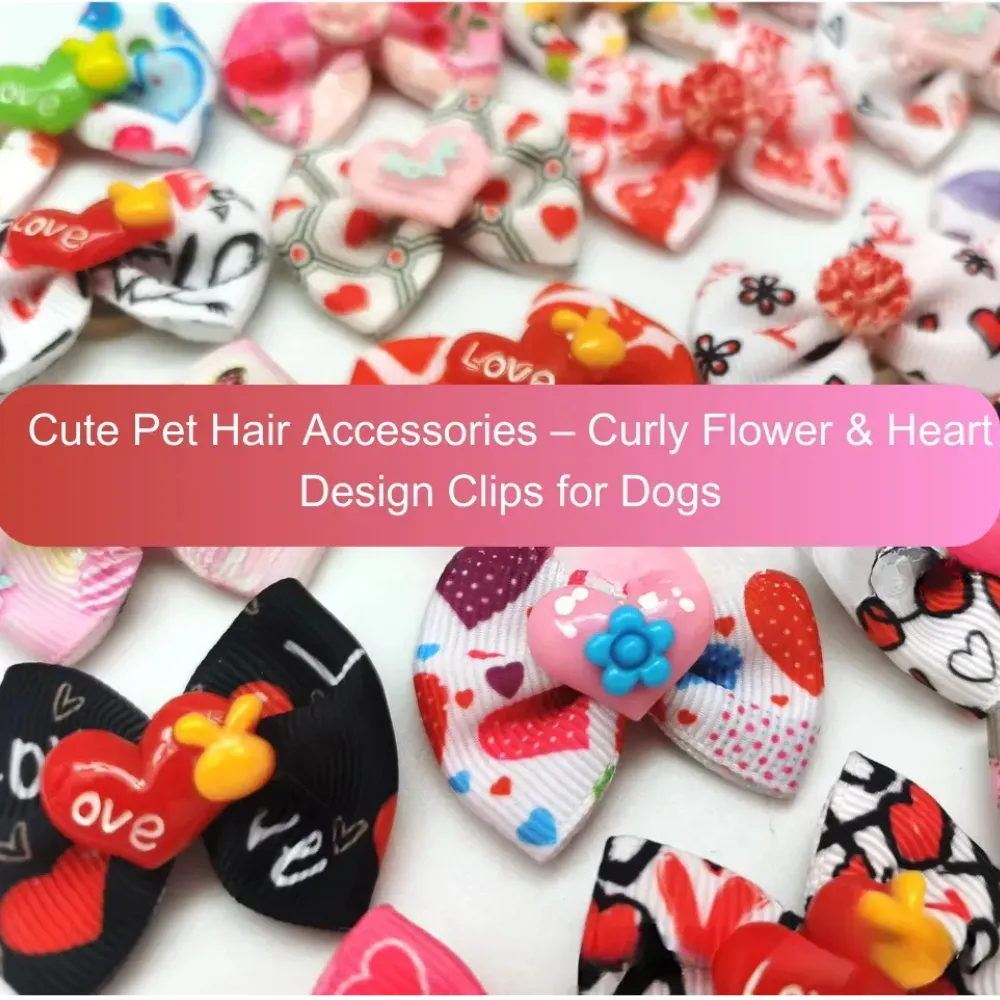 Fashionable Pet Hair Accessories