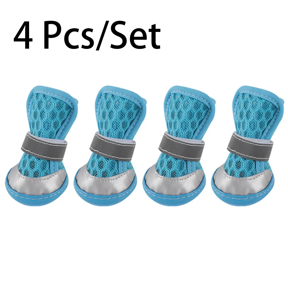 blue dog shoes