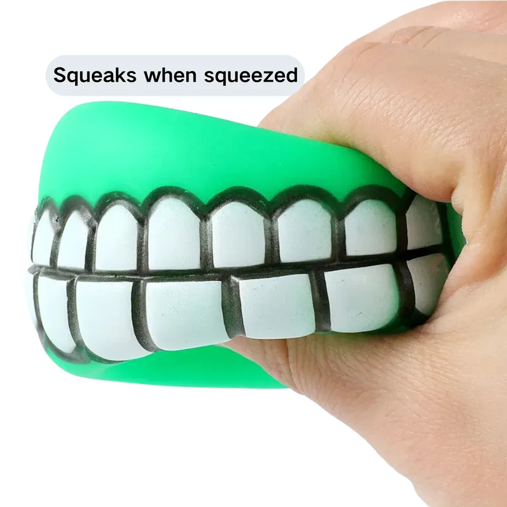 Squeaky Vinyl Chew Toy Squeaky Vinyl Chew Toy