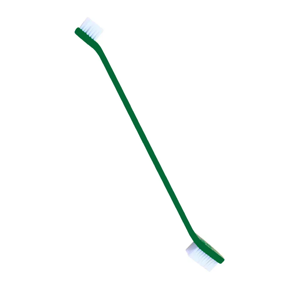 Green dog toothbrush