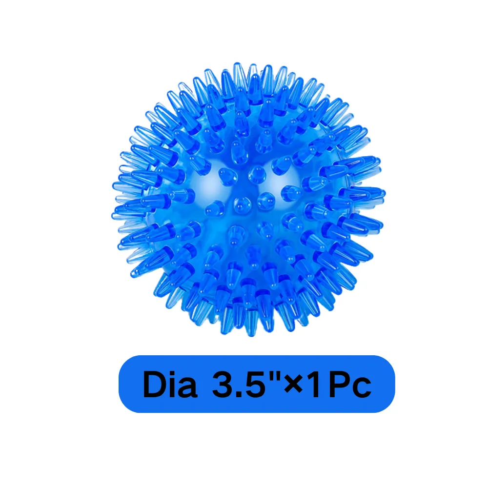 Blue Dog Squeaky Ball