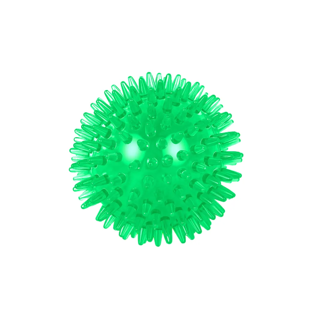 Green Dog Squeaky Ball