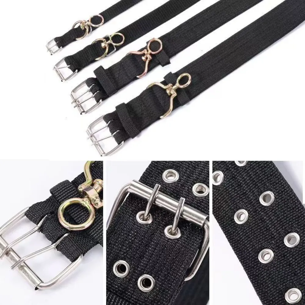 Collar Puppy Accessories