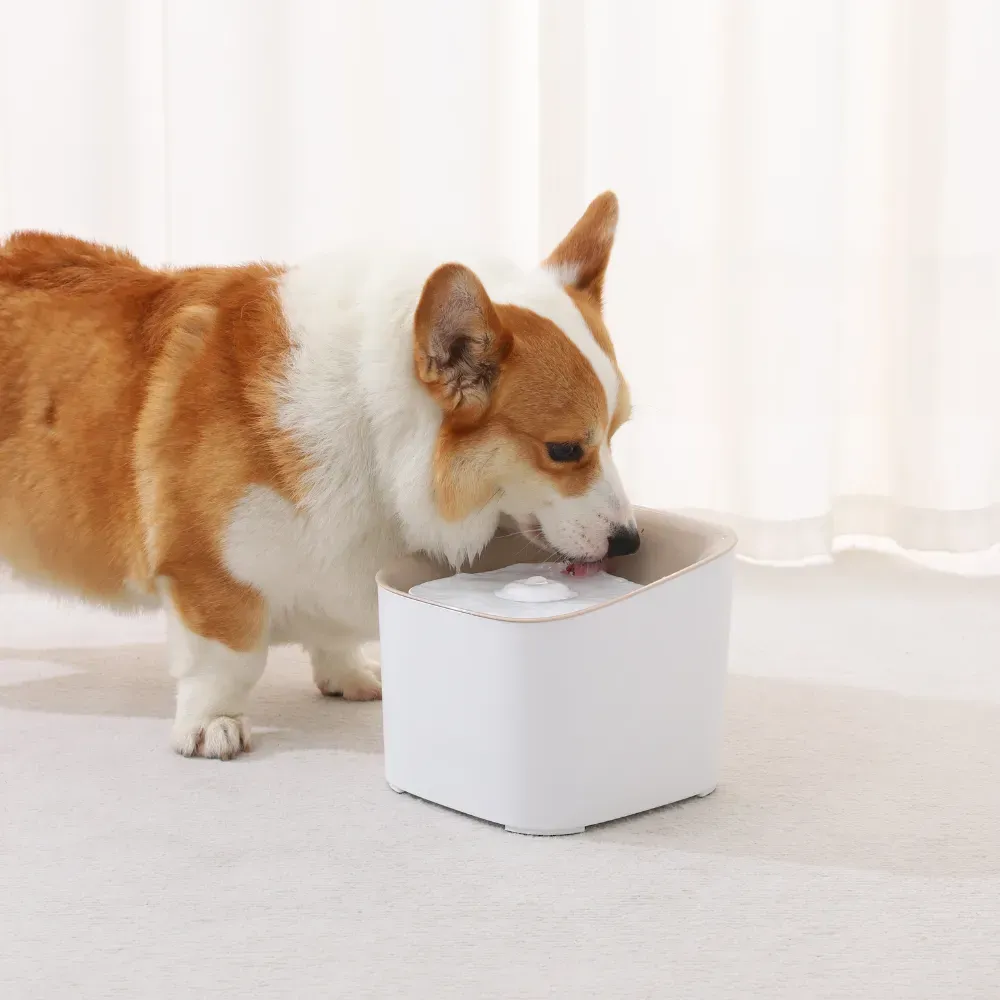 Dog Water Fountain-5 Dog Water Fountain-5