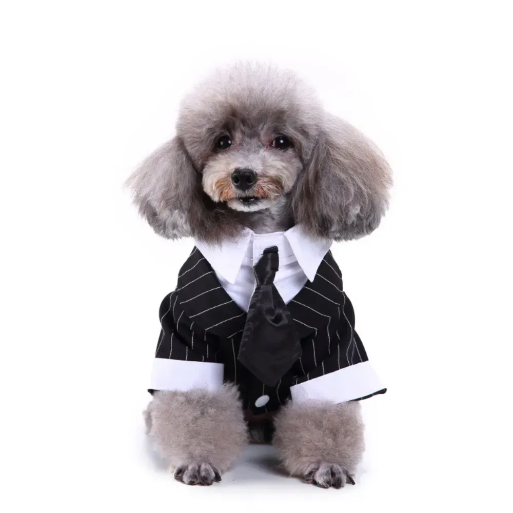 Pet Banquet Tuxedo for Dogs Striped Tailcoat Suit