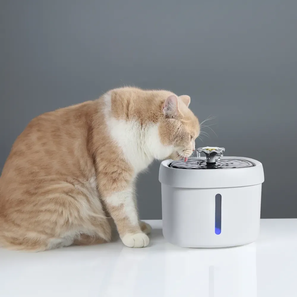 Automatic Pet Fountain