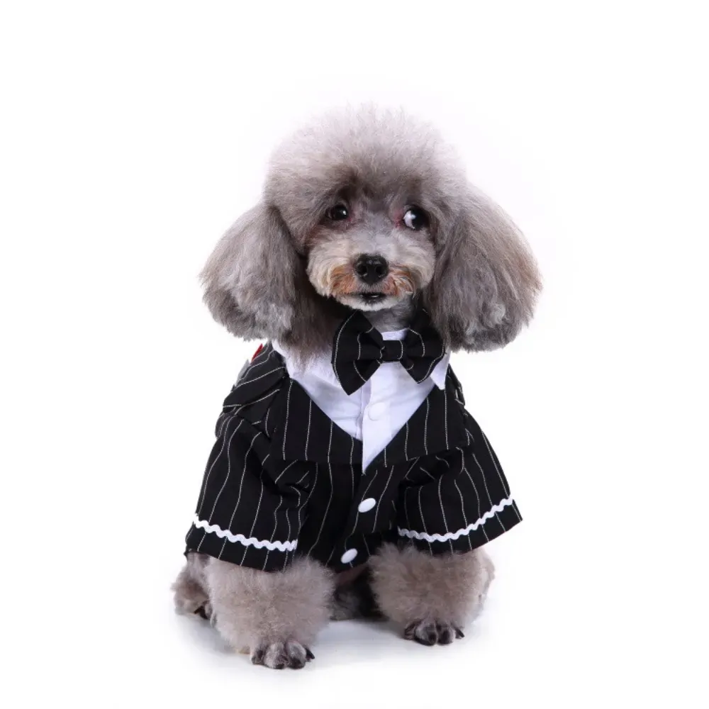 Pet Banquet Tuxedo for Dogs Striped Tailcoat Suit