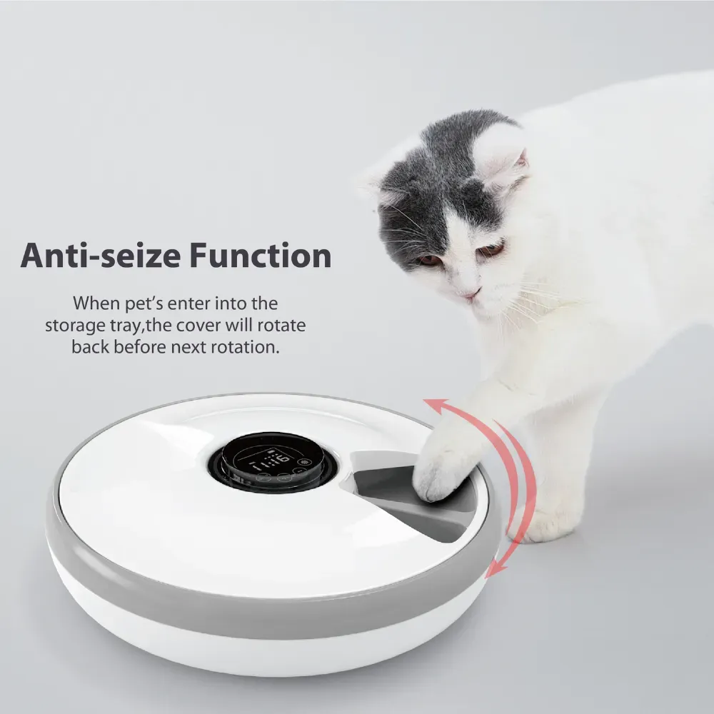 Great Dog Feeders Hot