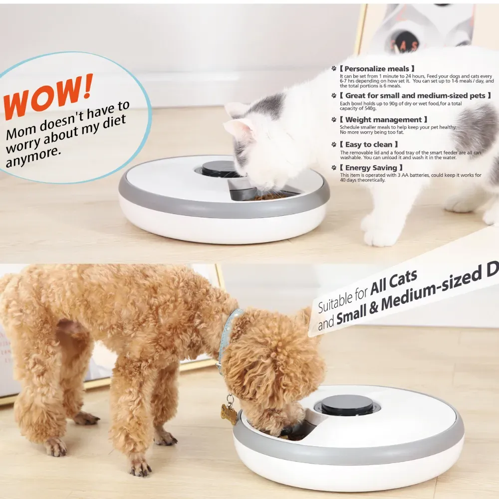 Hot Dog Feeders Great