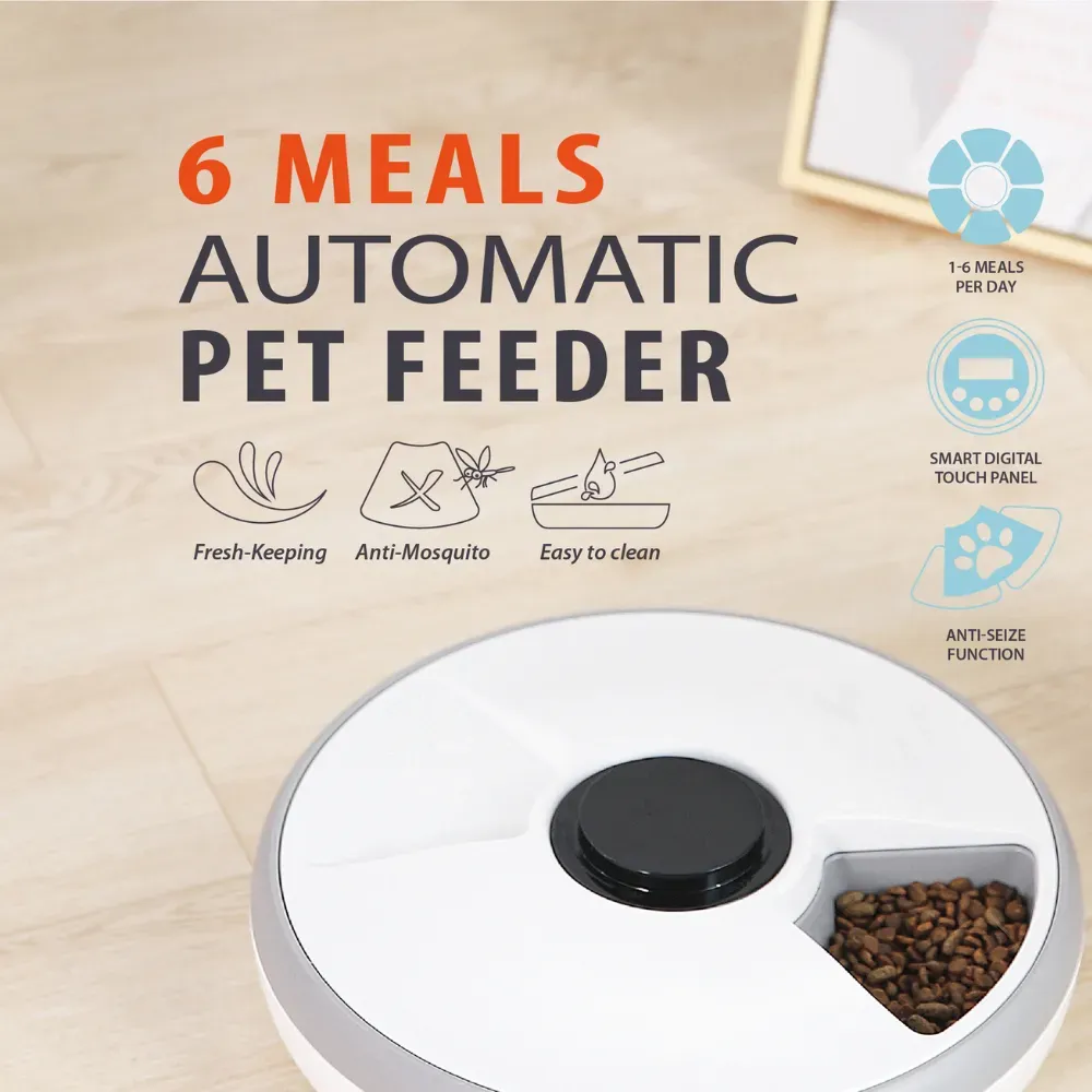 Cat Dog Feeders Pet