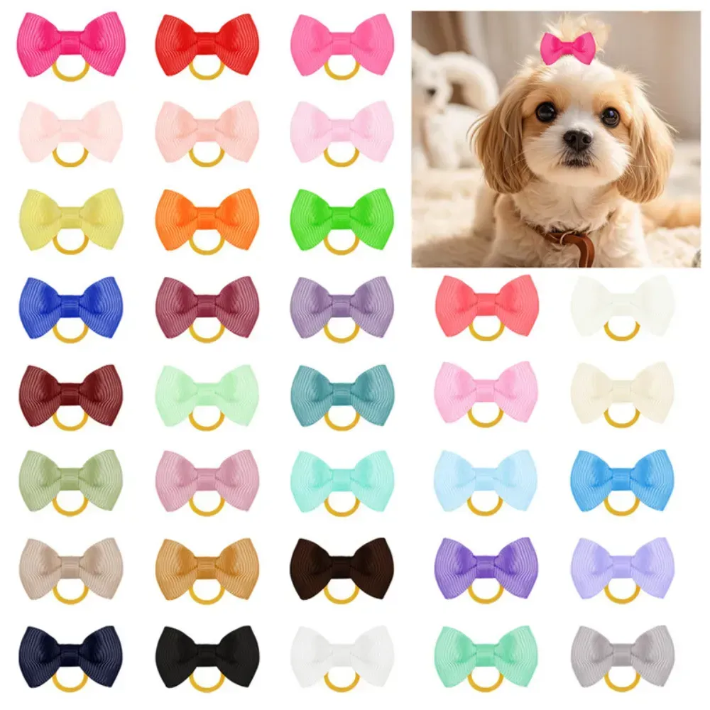 Colorful Bow Hair Accessories