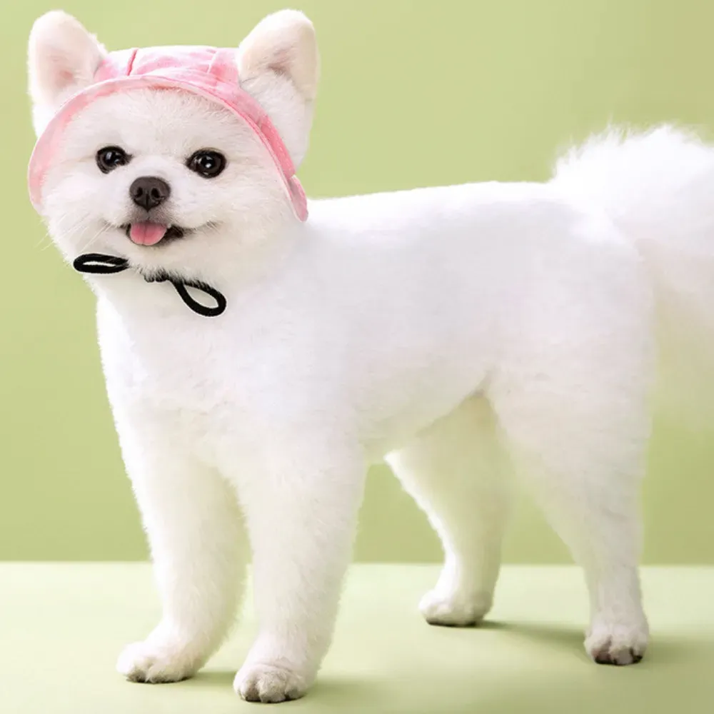 Dog Hats_7