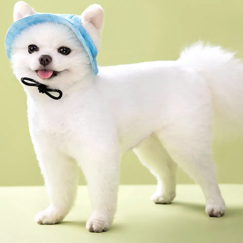 Dog Hats_8