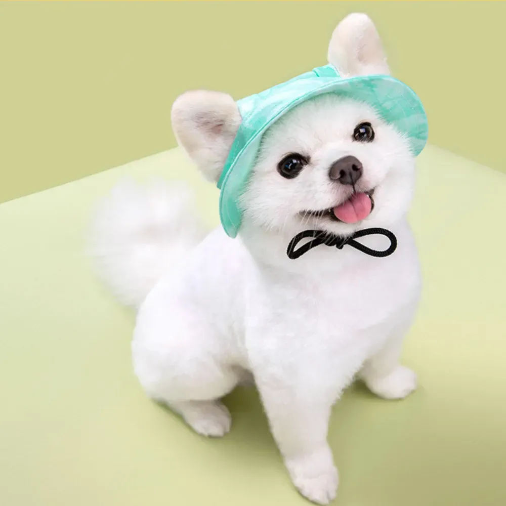 Dog Hats_6