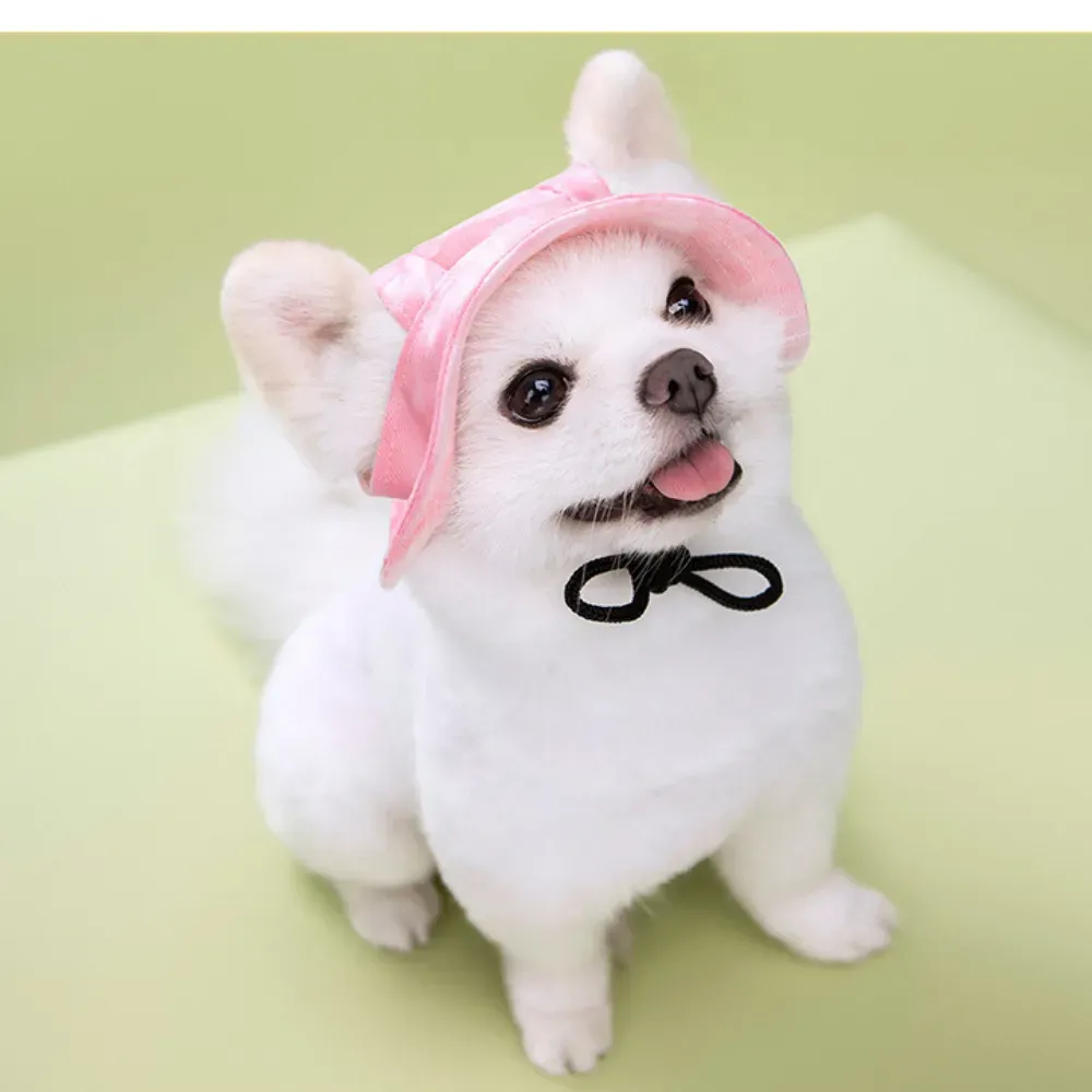 Dog Hats_5
