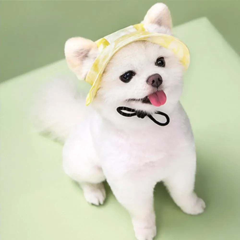 Dog Hats_12