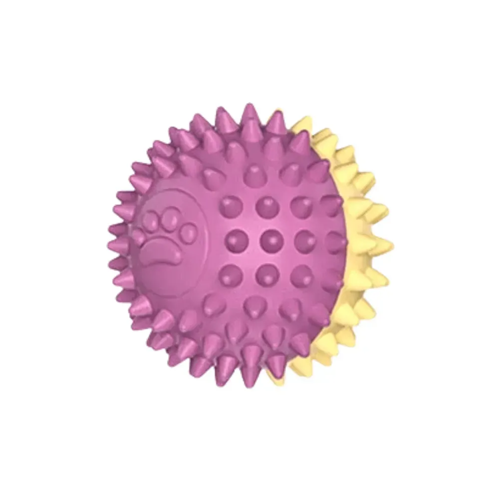 Hollow Dog Chew Toy for Pet