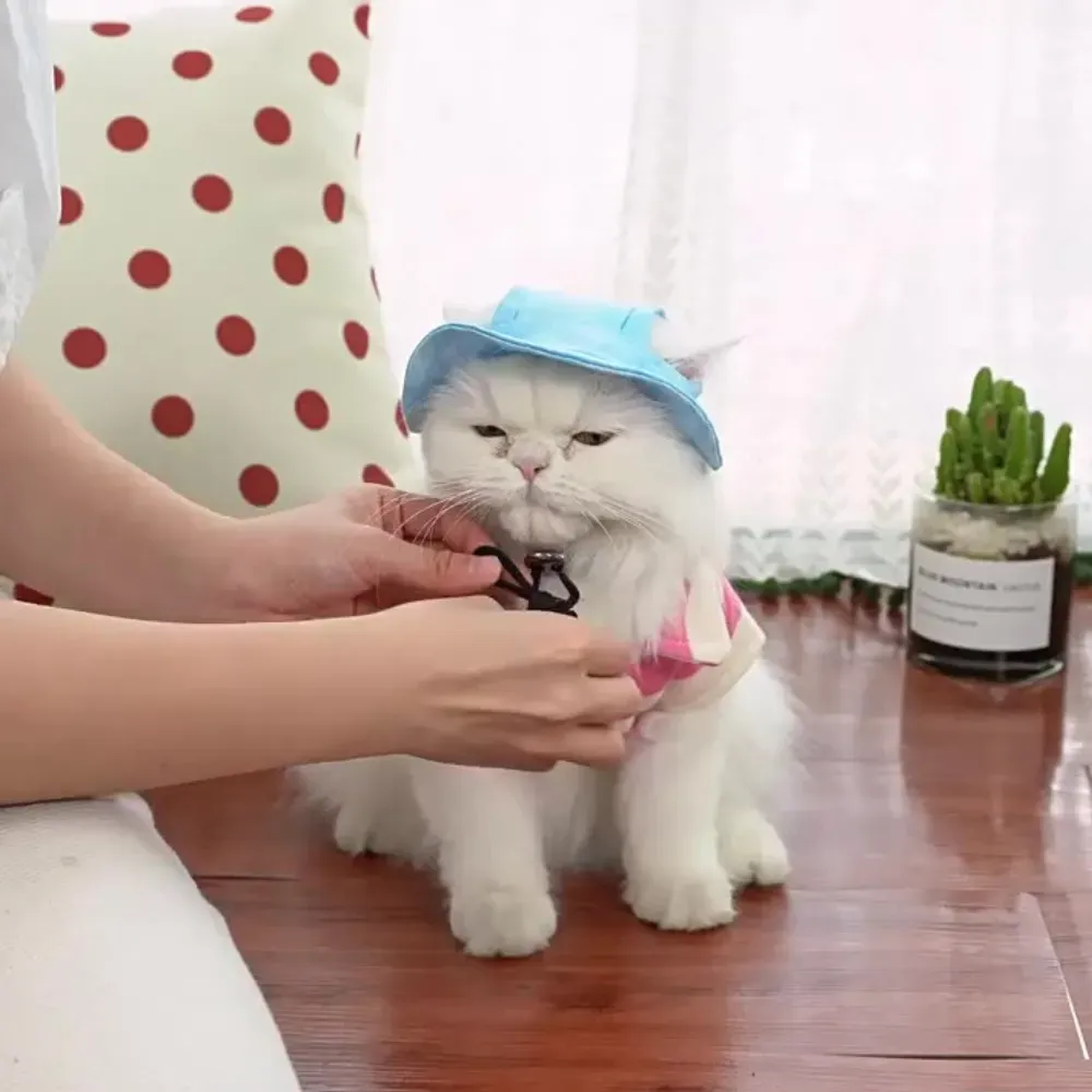 Dog Hats_9