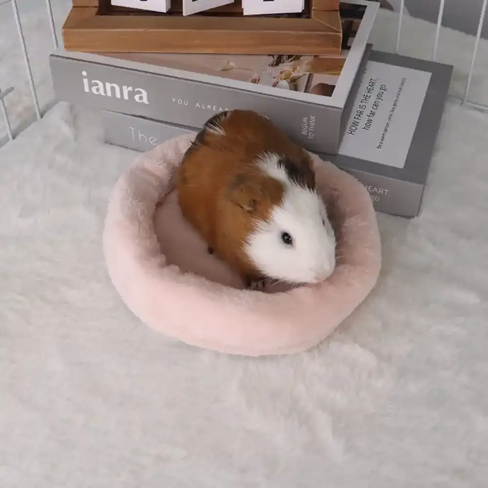 Soft Hamster Bed For Sale